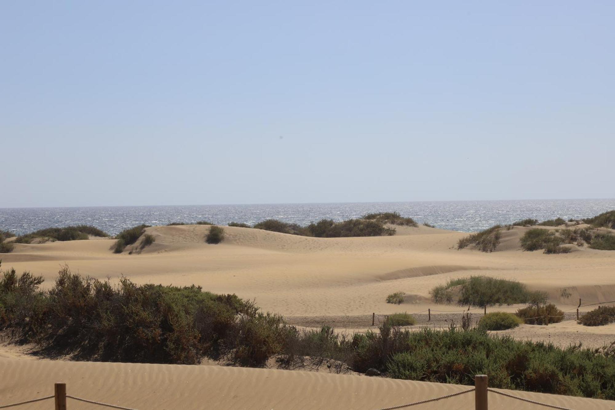 Confortevole Appartamento Playa Del Ingles Экстерьер фото
